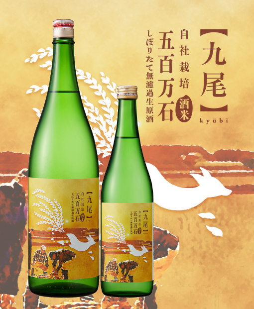 【九尾】自社栽培酒米 五百万石 しぼりたて無濾過生原酒